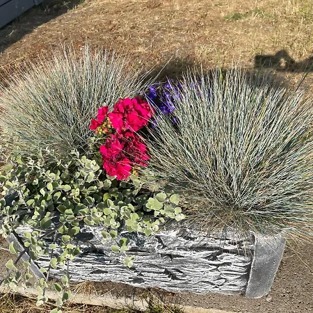 キャンプ場 Lawendowa Przystan Wicko 3 Km Od Miedzyzdrojow ミエンジズドロイェ