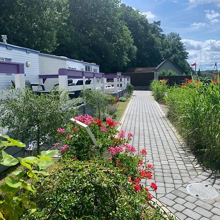 キャンプ場 Lawendowa Przystan Wicko 3 Km Od Miedzyzdrojow *