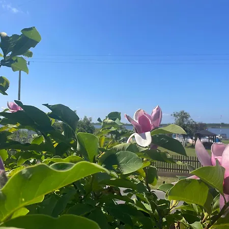 Lawendowa Przystan Wicko 3 Km Od Miedzyzdrojow *